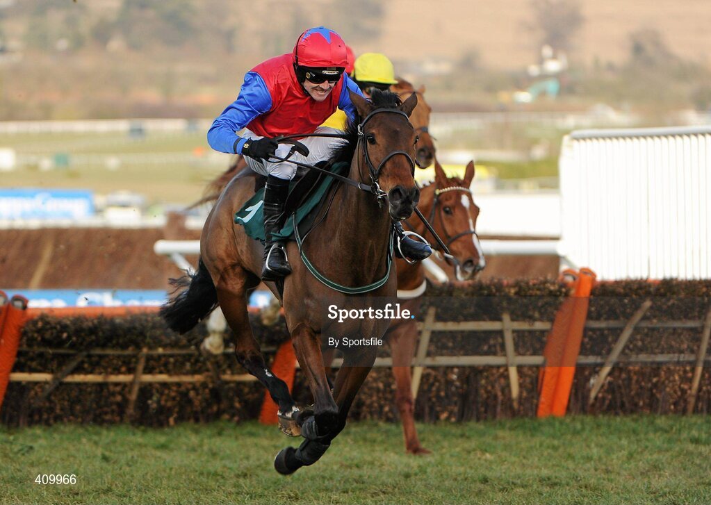 16 March 2010; Quevega, with Ruby Walsh up, on their way to winning the David Nicholson Mares' Hurdle. Cheltenham Racing Festival - Tuesday. Prestbury Park, Cheltenham, Gloucestershire, England. Photo by Sportsfile