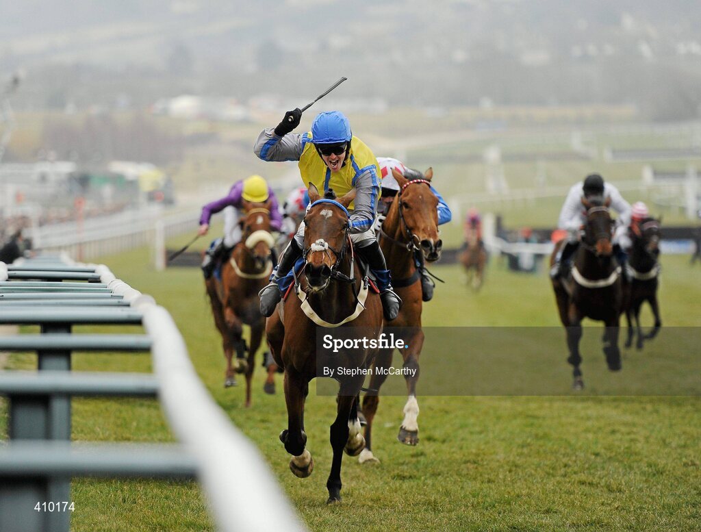 17 March 2010; Jockey Jason Maguire, onboard Peddlers Cross, celebrates winning the Neptune Investment Management Novices' Hurdle. Cheltenham Racing Festival - Wednesday. Prestbury Park, Cheltenham, Gloucestershire, England. Picture credit: Stephen McCarthy / SPORTSFILE