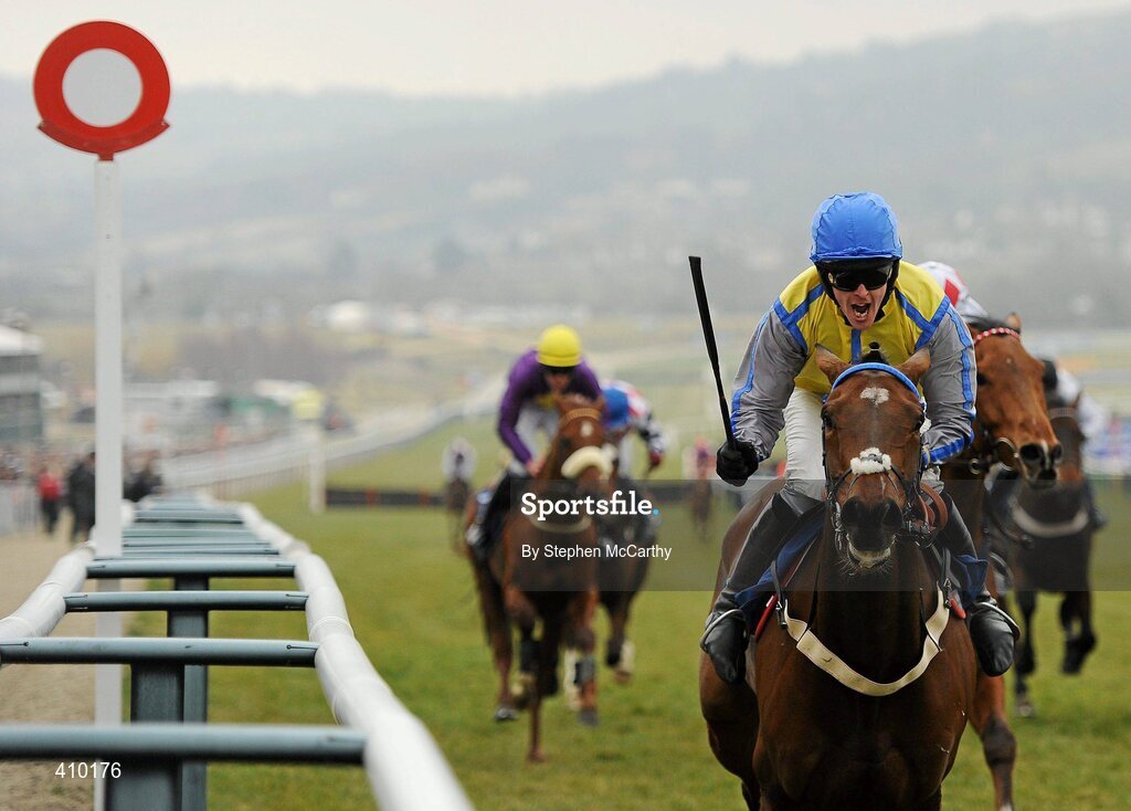 17 March 2010; Jockey Jason Maguire, onboard Peddlers Cross, celebrates winning the Neptune Investment Management Novices' Hurdle. Cheltenham Racing Festival - Wednesday. Prestbury Park, Cheltenham, Gloucestershire, England. Picture credit: Stephen McCarthy / SPORTSFILE