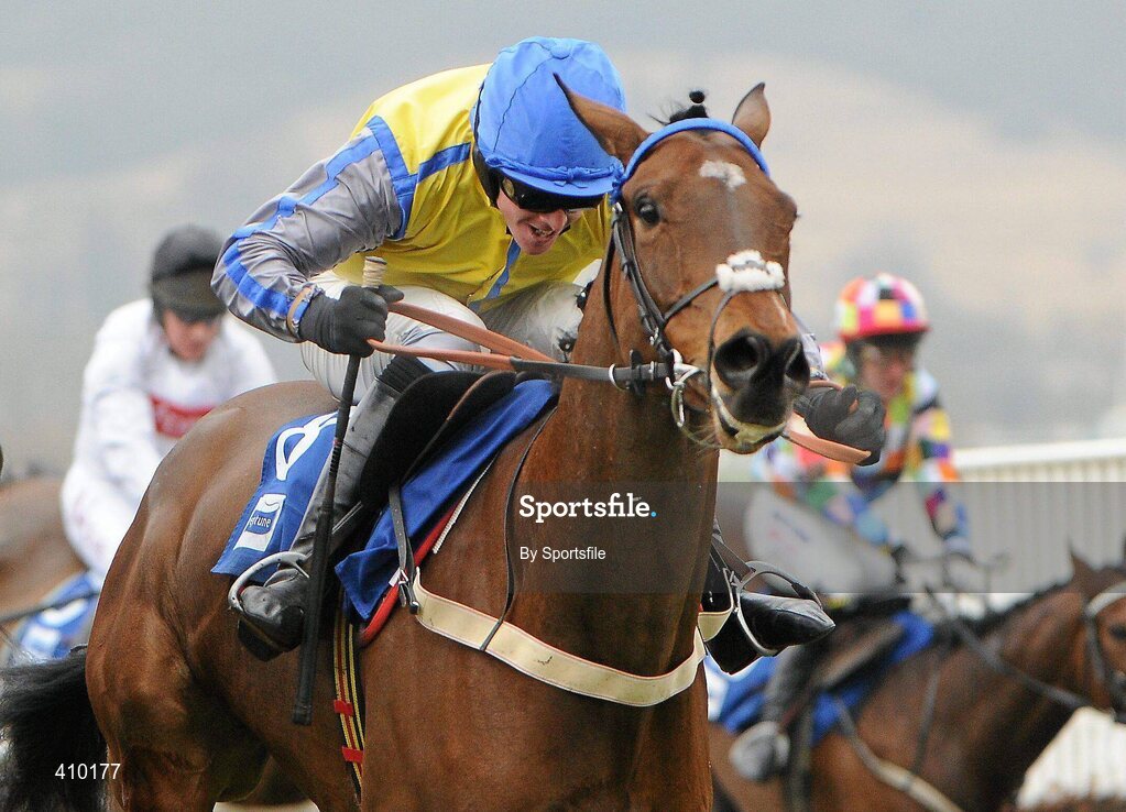 17 March 2010; Peddlers Cross with Jason Maguire up, on their way to winning the Neptune Investment Management Novices' Hurdle. Cheltenham Racing Festival - Wednesday. Prestbury Park, Cheltenham, Gloucestershire, England. Photo by Sportsfile