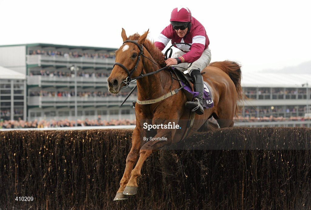 17 March 2010; Weapon's Amnesty, with Davy Russell up, jumps the last on their way to winning the RSA Chase. Cheltenham Racing Festival - Wednesday. Prestbury Park, Cheltenham, Gloucestershire, England. Photo by Sportsfile