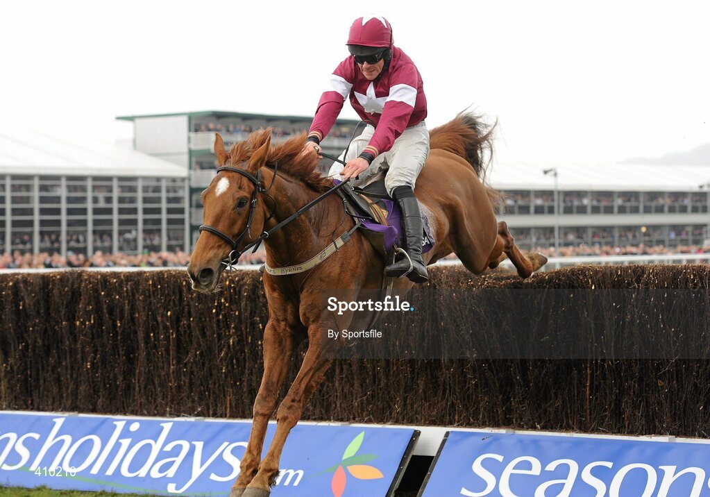 17 March 2010; Weapon's Amnesty, with Davy Russell up, jumps the last on their way to winning the RSA Chase. Cheltenham Racing Festival - Wednesday. Prestbury Park, Cheltenham, Gloucestershire, England. Photo by Sportsfile