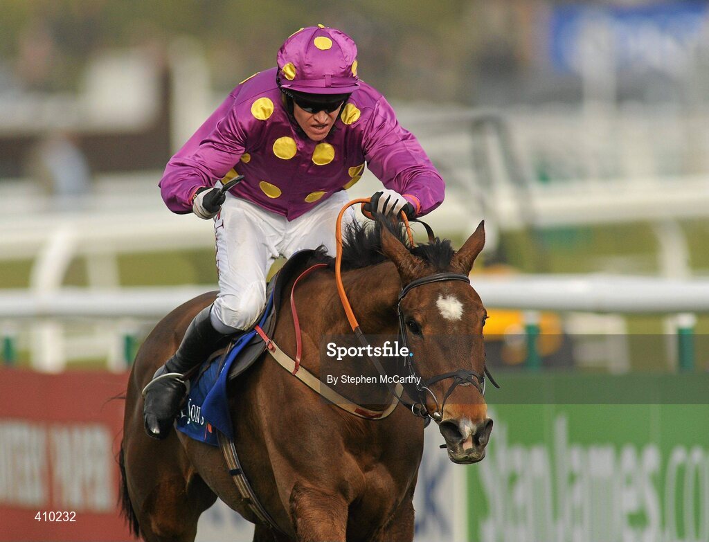17 March 2010; Big Zeb, with Barry Geraghty up, on their way to winning the Seasons Holidays Queen Mother Champion Chase. Cheltenham Racing Festival - Wednesday. Prestbury Park, Cheltenham, Gloucestershire, England. Picture credit: Stephen McCarthy / SPORTSFILE
