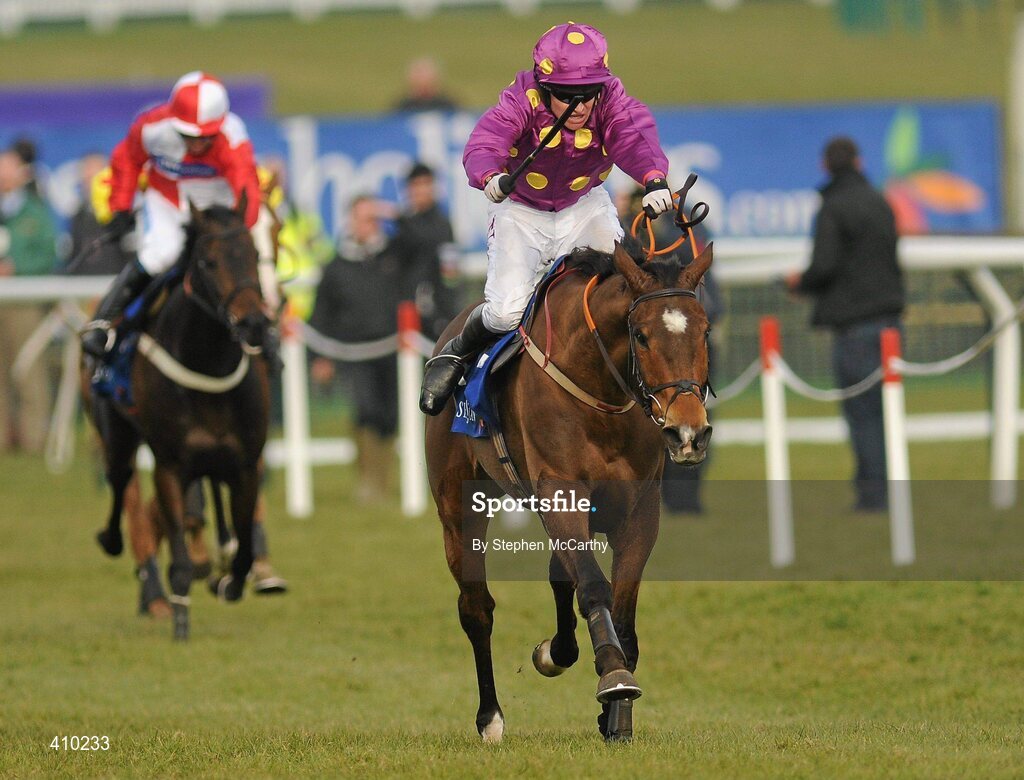 17 March 2010; Big Zeb, with Barry Geraghty up, on their way to winning the Seasons Holidays Queen Mother Champion Chase. Cheltenham Racing Festival - Wednesday. Prestbury Park, Cheltenham, Gloucestershire, England. Picture credit: Stephen McCarthy / SPORTSFILE