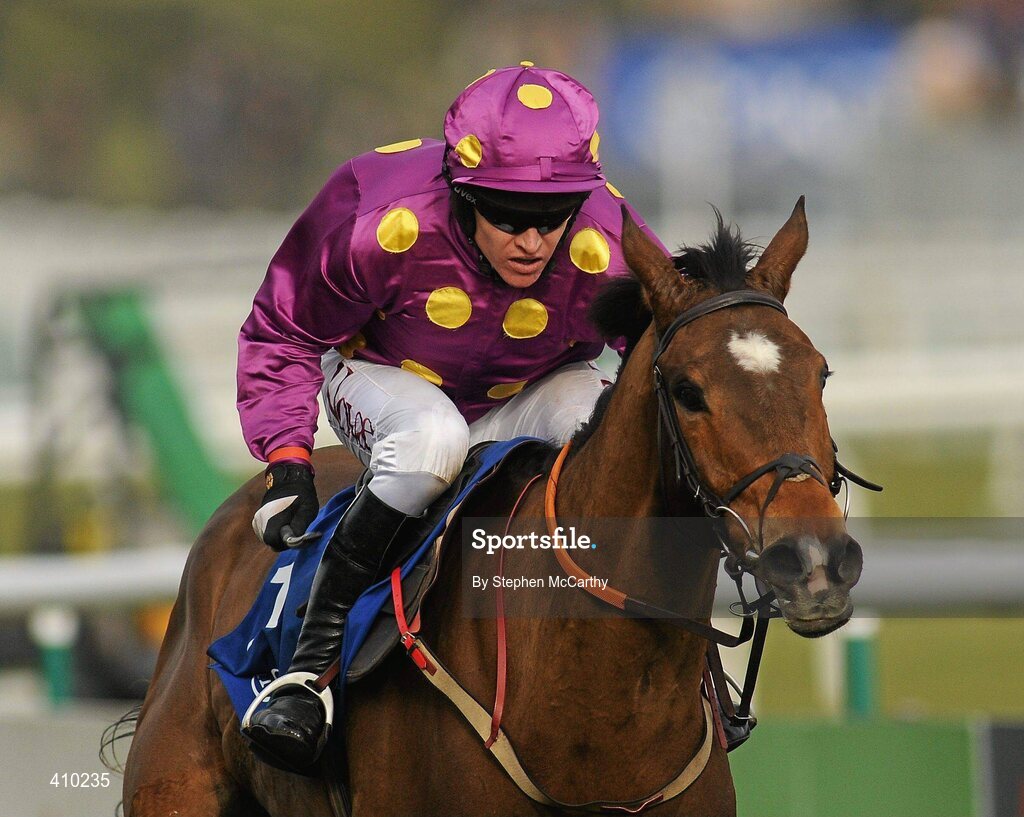 17 March 2010; Big Zeb, with Barry Geraghty up, on their way to winning the Seasons Holidays Queen Mother Champion Chase. Cheltenham Racing Festival - Wednesday. Prestbury Park, Cheltenham, Gloucestershire, England. Picture credit: Stephen McCarthy / SPORTSFILE