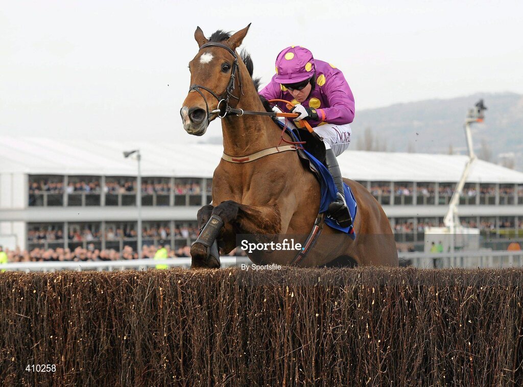 17 March 2010; Big Zeb, with Barry Geraghty up, jumps the last on their way to winning the Seasons Holidays Queen Mother Champion Chase. Cheltenham Racing Festival - Wednesday. Prestbury Park, Cheltenham, Gloucestershire, England. Photo by Sportsfile