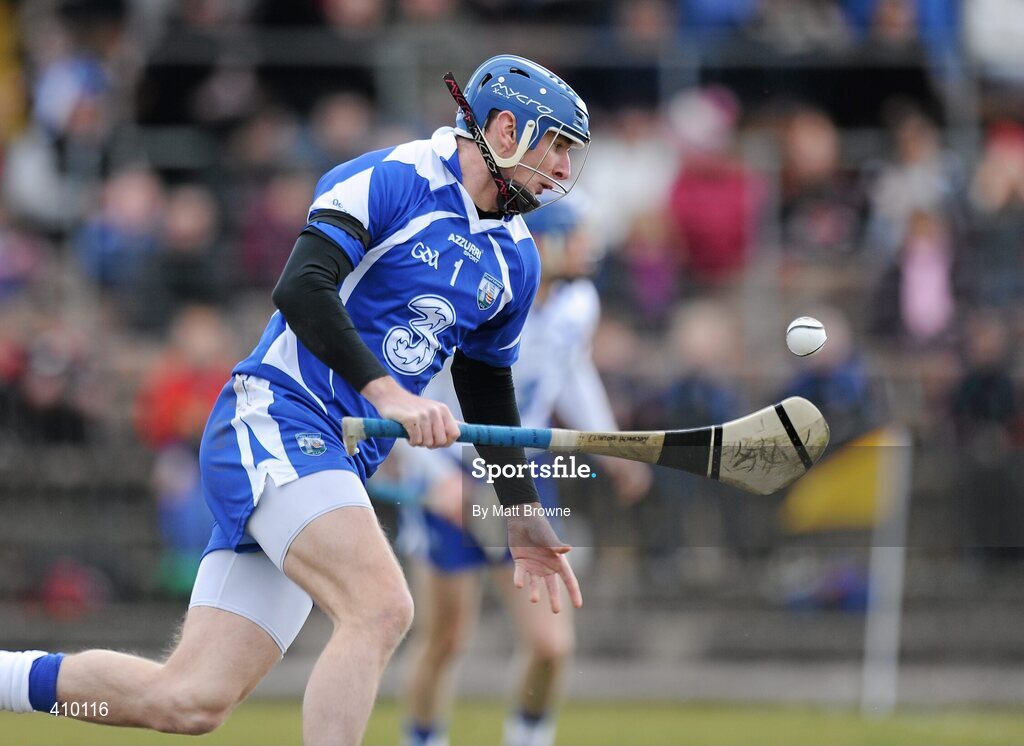 14 March 2010; Clinton Hennessy, Waterford. Allianz GAA Hurling National League, Division 1, Round 3, Waterford v Limerick, Fraher Field, Dungarvan, Co. Waterford. Picture credit: Matt Browne / SPORTSFILE