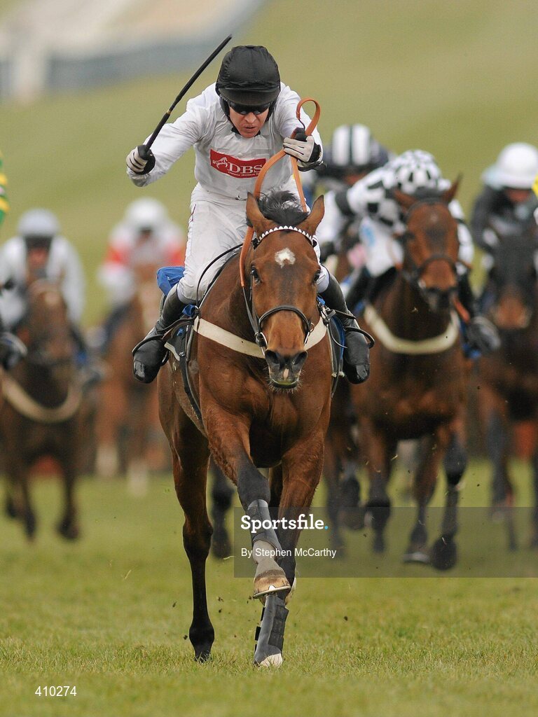 17 March 2010; Spirit River, with Barry Geraghty up, on their way to winning the Coral Cup. Cheltenham Racing Festival - Wednesday. Prestbury Park, Cheltenham, Gloucestershire, England. Picture credit: Stephen McCarthy / SPORTSFILE
