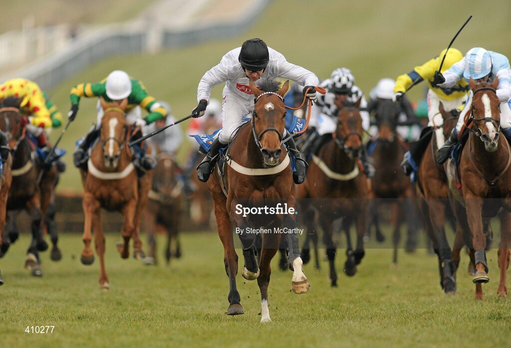 17 March 2010; Spirit River, with Barry Geraghty up, on their way to winning the Coral Cup. Cheltenham Racing Festival - Wednesday. Prestbury Park, Cheltenham, Gloucestershire, England. Picture credit: Stephen McCarthy / SPORTSFILE