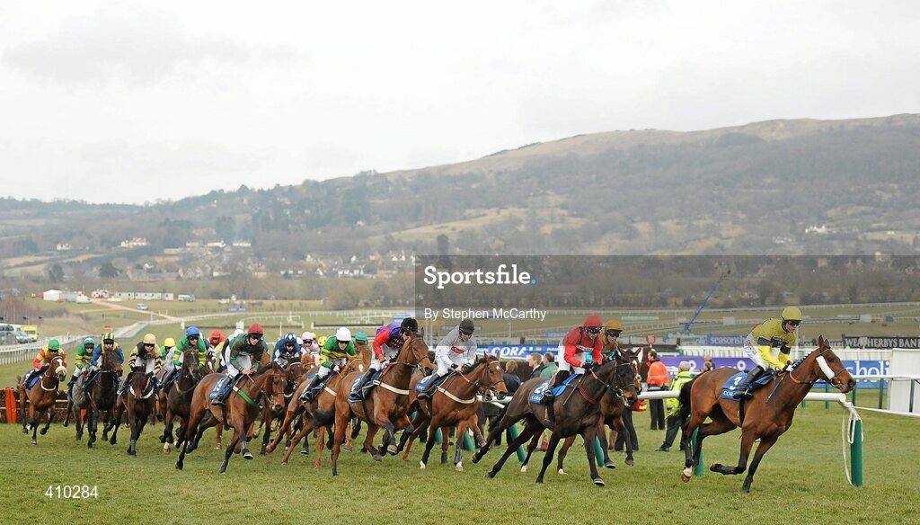 17 March 2010; A general view of the runners and riders during the Coral Cup. Cheltenham Racing Festival - Wednesday. Prestbury Park, Cheltenham, Gloucestershire, England. Picture credit: Stephen McCarthy / SPORTSFILE