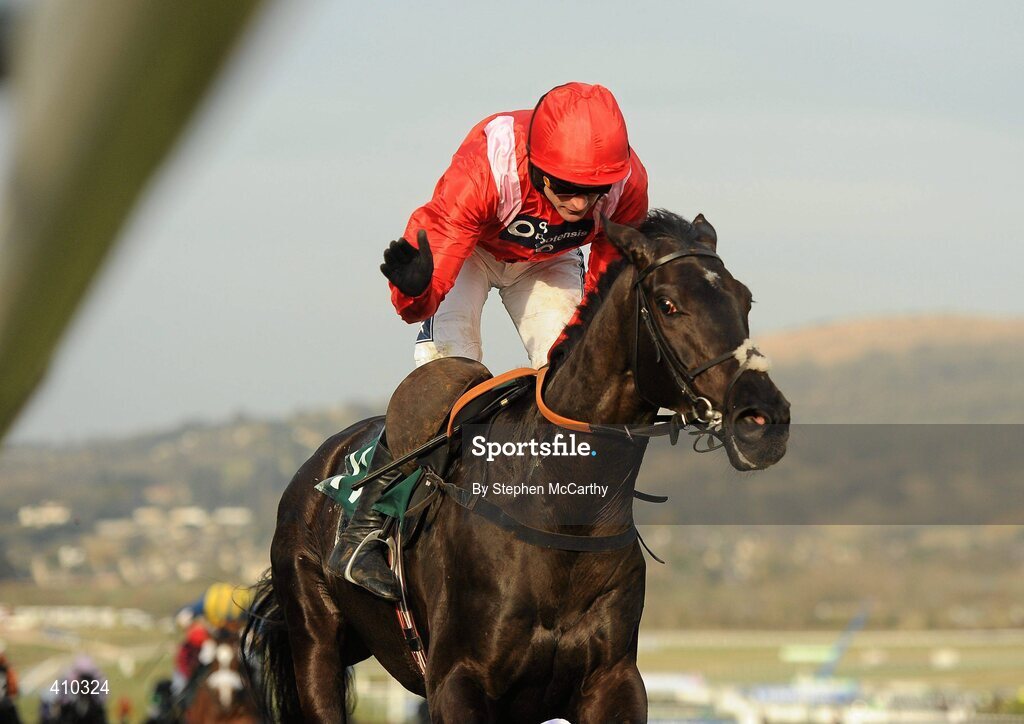 17 March 2010; Jockey Ruby Walsh congratulates his mount Sanctuaire after winning the Fred Winter Juvenile Novices' Handicap Hurdle. Cheltenham Racing Festival - Wednesday. Prestbury Park, Cheltenham, Gloucestershire, England. Picture credit: Stephen McCarthy / SPORTSFILE