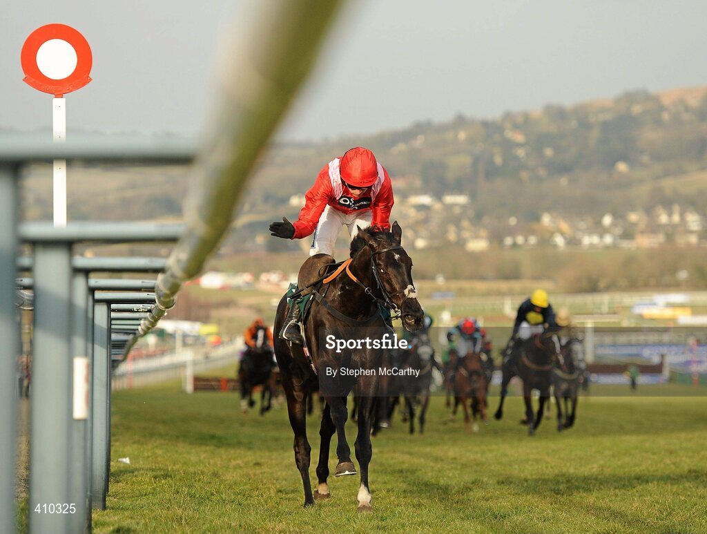 17 March 2010; Jockey Ruby Walsh congratulates his mount Sanctuaire after winning the Fred Winter Juvenile Novices' Handicap Hurdle. Cheltenham Racing Festival - Wednesday. Prestbury Park, Cheltenham, Gloucestershire, England. Picture credit: Stephen McCarthy / SPORTSFILE