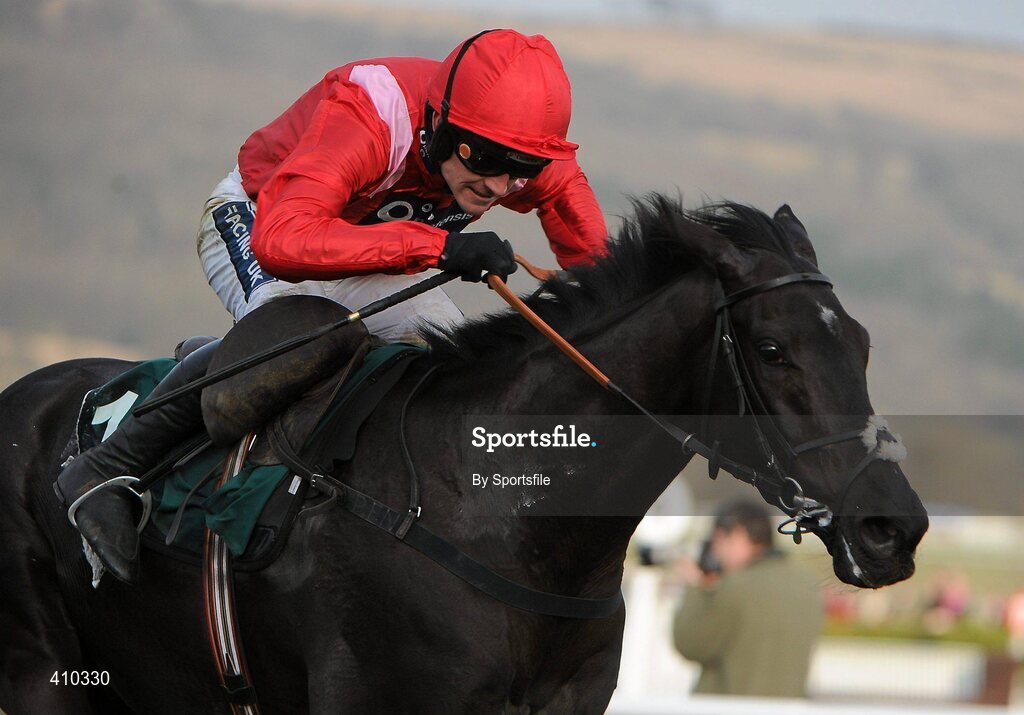 17 March 2010; Sanctuaire, with Ruby Walsh up, on the way to winning the Fred Winter Juvenile Novices' Handicap Hurdle. Cheltenham Racing Festival - Wednesday. Prestbury Park, Cheltenham, Gloucestershire, England. Photo by Sportsfile