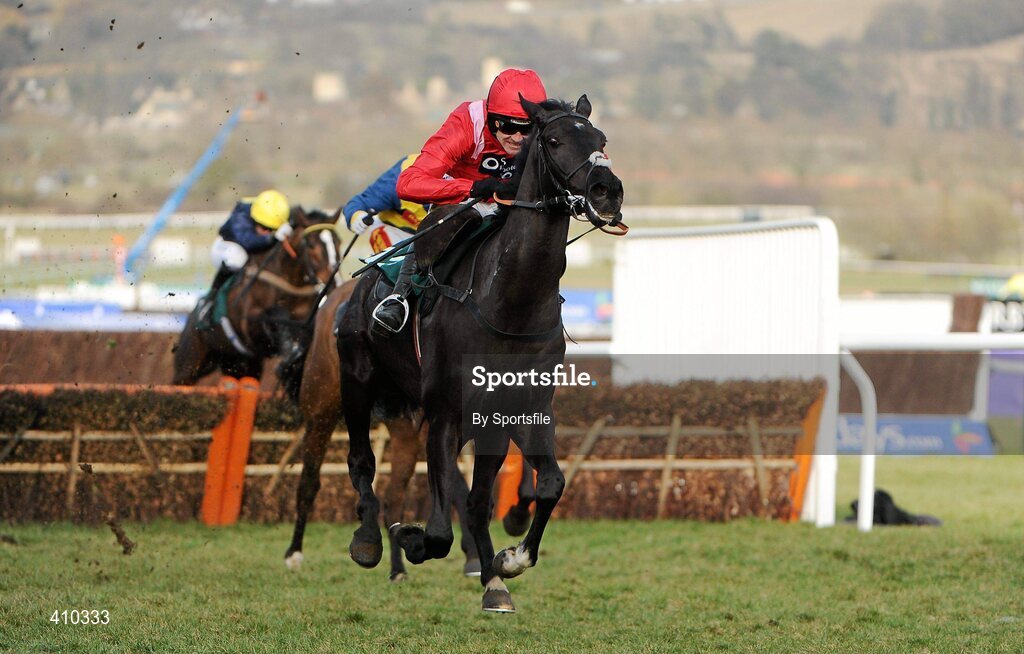 17 March 2010; Sanctuaire, with Ruby Walsh up, on the way to winning the Fred Winter Juvenile Novices' Handicap Hurdle. Cheltenham Racing Festival - Wednesday. Prestbury Park, Cheltenham, Gloucestershire, England. Photo by Sportsfile
