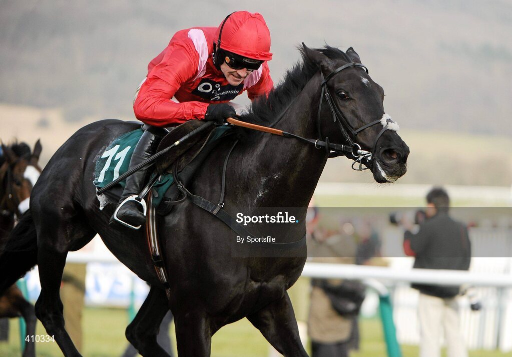 17 March 2010; Sanctuaire, with Ruby Walsh up, on the way to winning the Fred Winter Juvenile Novices' Handicap Hurdle. Cheltenham Racing Festival - Wednesday. Prestbury Park, Cheltenham, Gloucestershire, England. Photo by Sportsfile