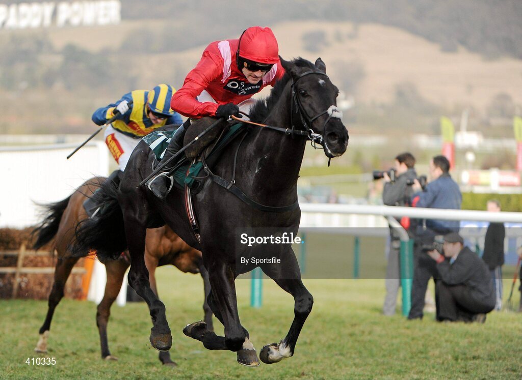 17 March 2010; Sanctuaire, with Ruby Walsh up, on the way to winning the Fred Winter Juvenile Novices' Handicap Hurdle. Cheltenham Racing Festival - Wednesday. Prestbury Park, Cheltenham, Gloucestershire, England. Photo by Sportsfile