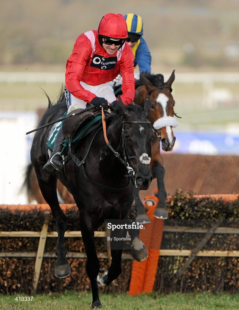 17 March 2010; Sanctuaire, with Ruby Walsh up, on the way to winning the Fred Winter Juvenile Novices' Handicap Hurdle. Cheltenham Racing Festival - Wednesday. Prestbury Park, Cheltenham, Gloucestershire, England. Photo by Sportsfile