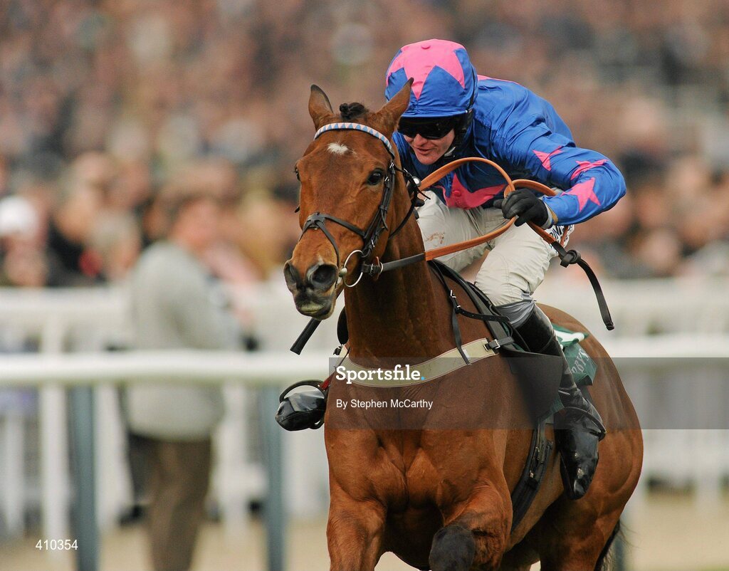 17 March 2010; Cue Card, with Joe Tizzard up, on their way to winning the Weatherbys Champion Bumper. Cheltenham Racing Festival - Wednesday. Prestbury Park, Cheltenham, Gloucestershire, England. Picture credit: Stephen McCarthy / SPORTSFILE