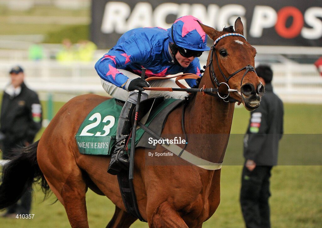 17 March 2010; Cue Card, with Joe Tizzard up, on their way to winning the Weatherbys Champion Bumper. Cheltenham Racing Festival - Wednesday. Prestbury Park, Cheltenham, Gloucestershire, England. Photo by Sportsfile