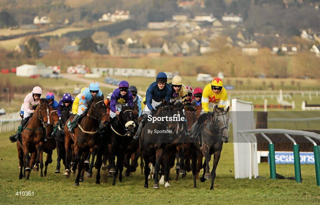 17 March 2010; A general view of the field during the Weatherbys Champion Bumper. Cheltenham Racing Festival - Wednesday. Prestbury Park, Cheltenham, Gloucestershire, England. Photo by Sportsfile