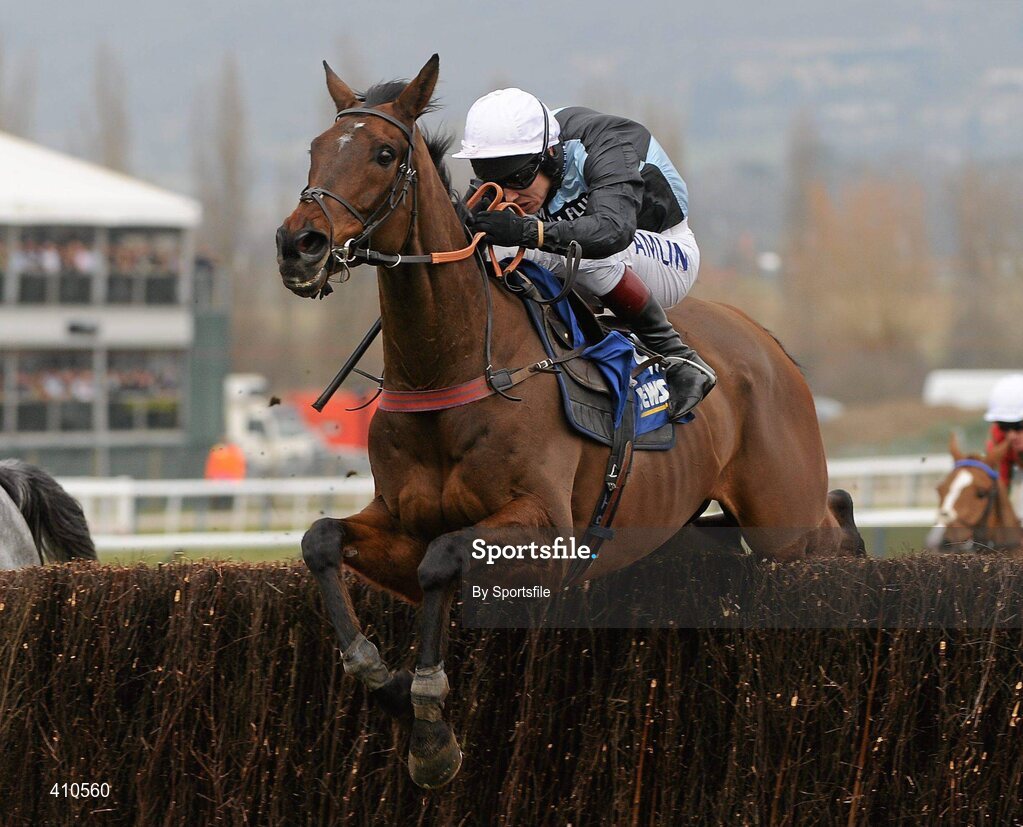 18 March 2010; Copper Bleu, with Richard Johnson up, jumps the last on their way to winning the Jewson Novices' Handicap Chase. Cheltenham Racing Festival - Thursday. Prestbury Park, Cheltenham, Gloucestershire, England. Photo by Sportsfile