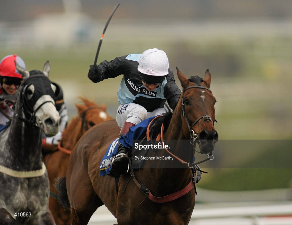 18 March 2010; Copper Bleu, with Richard Johnson up, on their way to winning the Jewson Novices' Handicap Chase. Cheltenham Racing Festival - Thursday. Prestbury Park, Cheltenham, Gloucestershire, England. Picture credit: Stephen McCarthy / SPORTSFILE