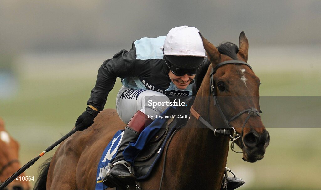 18 March 2010; Copper Bleu, with Richard Johnson up, on their way to winning the Jewson Novices' Handicap Chase. Cheltenham Racing Festival - Thursday. Prestbury Park, Cheltenham, Gloucestershire, England. Picture credit: Stephen McCarthy / SPORTSFILE