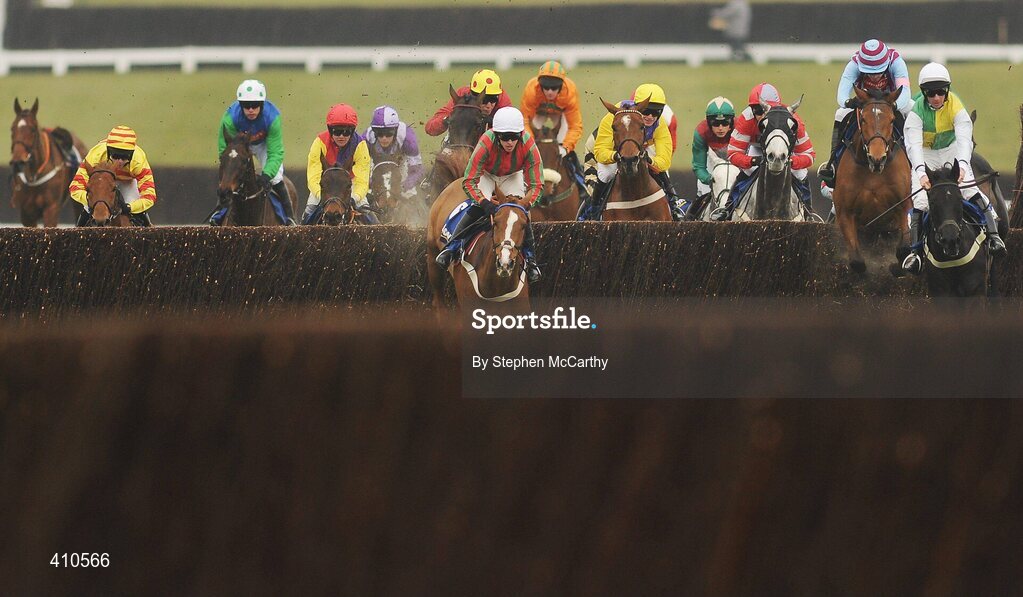 18 March 2010; Runners and riders jump a fence during the Jewson Novices' Handicap Chase. Cheltenham Racing Festival - Thursday. Prestbury Park, Cheltenham, Gloucestershire, England. Picture credit: Stephen McCarthy / SPORTSFILE