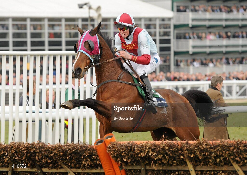 18 March 2010; Buena Vista, with Hadden Frost up, jumps the last on their way to winning the Pertemps Final. Cheltenham Racing Festival - Thursday. Prestbury Park, Cheltenham, Gloucestershire, England. Photo by Sportsfile