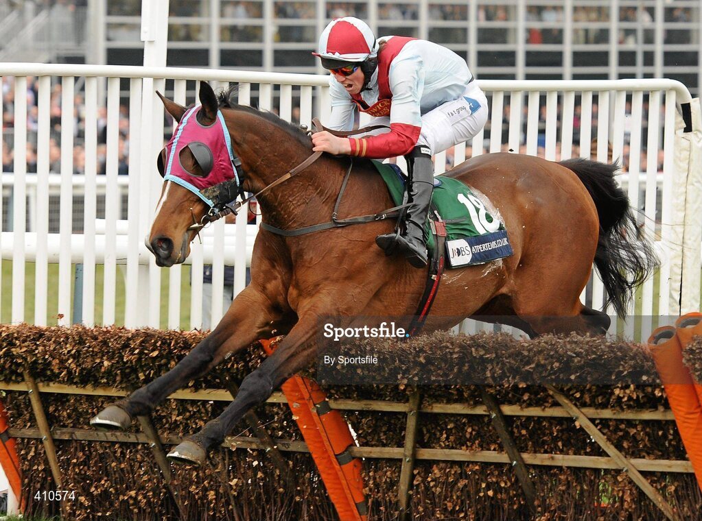 18 March 2010; Buena Vista, with Hadden Frost up, jumps the last on their way to winning the Pertemps Final. Cheltenham Racing Festival - Thursday. Prestbury Park, Cheltenham, Gloucestershire, England. Photo by Sportsfile