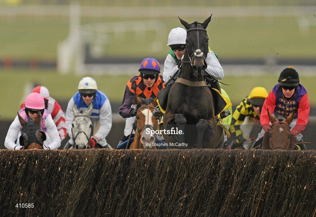 18 March 2010; Albertas Run, with Tony McCoy up, about to clear a fence on their way to winning the Ryanair Chase. Cheltenham Racing Festival - Thursday. Prestbury Park, Cheltenham, Gloucestershire, England. Picture credit: Stephen McCarthy / SPORTSFILE