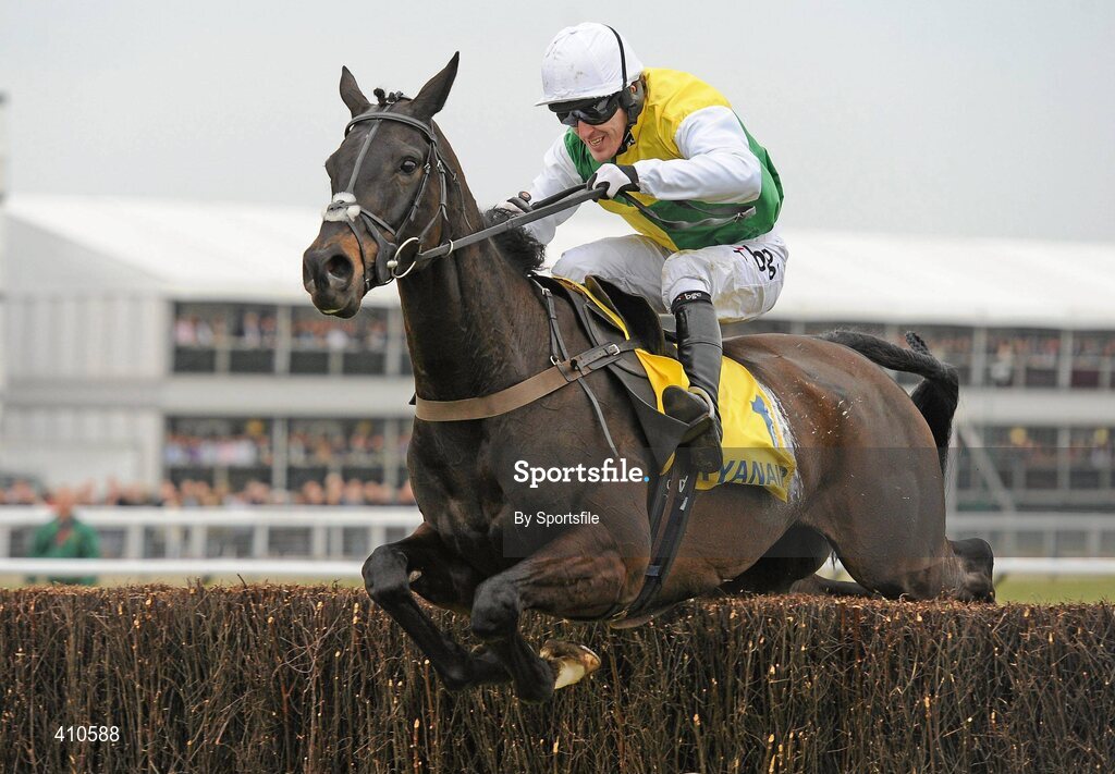 18 March 2010; Albertas Run, with Tony McCoy up, on their way to winning the Ryanair Chase. Cheltenham Racing Festival - Thursday. Prestbury Park, Cheltenham, Gloucestershire, England. Photo by Sportsfile