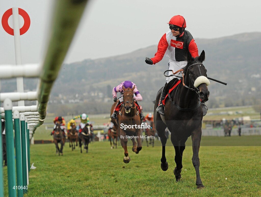 18 March 2010; Jockey Ruby Walsh, onboard Big Bucks, celebrates after winning the Ladbrokes World Hurdle. Cheltenham Racing Festival - Thursday. Prestbury Park, Cheltenham, Gloucestershire, England. Picture credit: Stephen McCarthy / SPORTSFILE