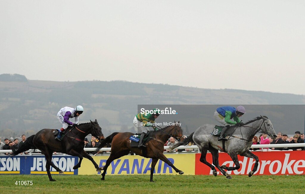 18 March 2010; Great Endeavour, with Danny Cook up, on their way to winning the Byrne Group Plate, from second place Sunnyhillboy, with Richie Mclernon up, centre, and From Dawn To Dusk, with Richard Johnson up, left. Cheltenham Racing Festival - Thursday. Prestbury Park, Cheltenham, Gloucestershire, England. Picture credit: Stephen McCarthy / SPORTSFILE