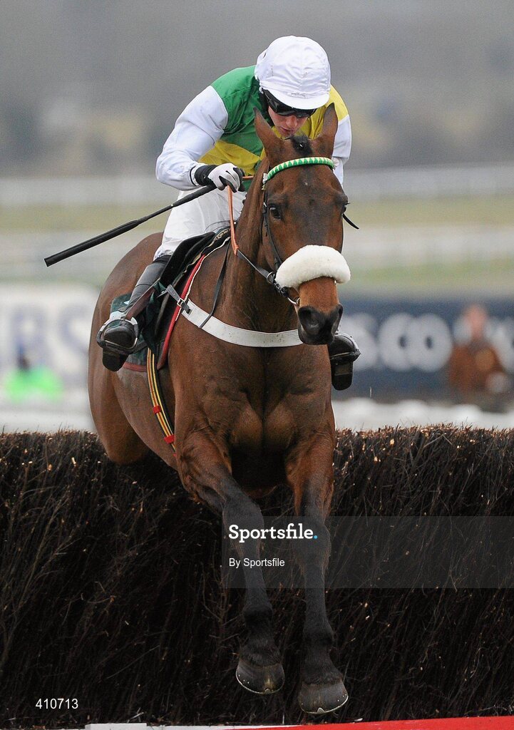 18 March 2010; Ballabriggs, with Richard Harding up, jumps the last on their way to winning the Fulke Walwyn Kim Muir Challenge Cup Handicap Chase. Cheltenham Racing Festival - Thursday. Prestbury Park, Cheltenham, Gloucestershire, England. Photo by Sportsfile