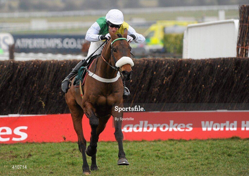 18 March 2010; Ballabriggs, with Richard Harding up, on their way to winning the Fulke Walwyn Kim Muir Challenge Cup Handicap Chase. Cheltenham Racing Festival - Thursday. Prestbury Park, Cheltenham, Gloucestershire, England. Photo by Sportsfile
