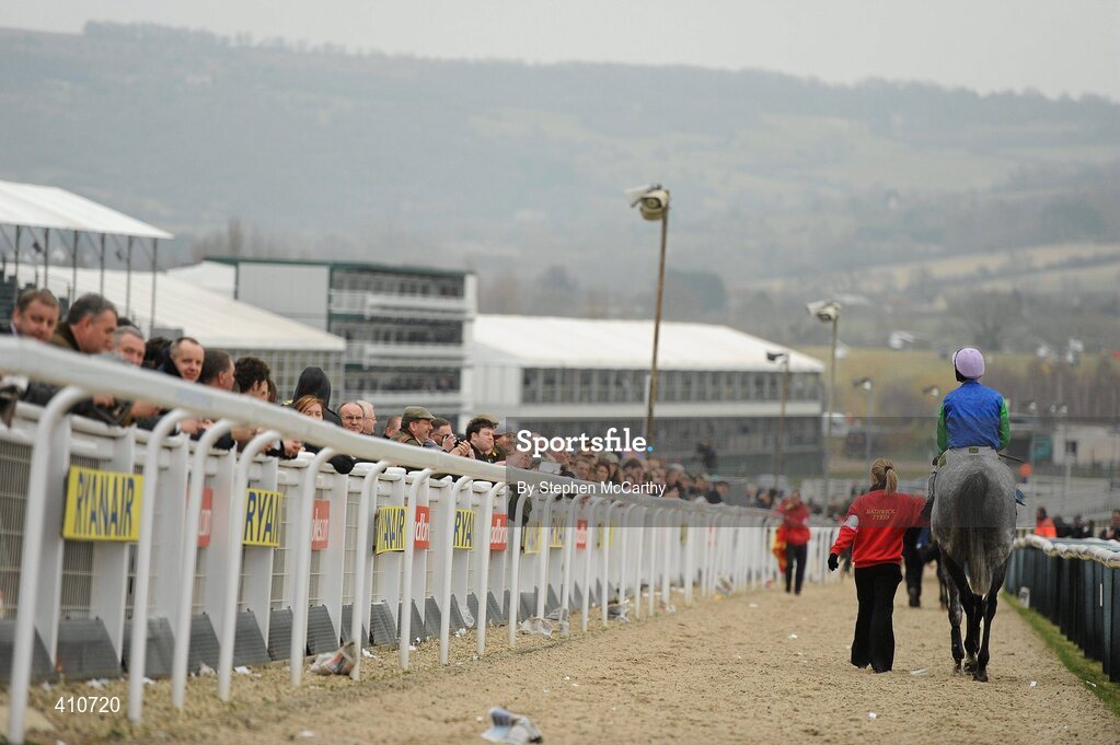 18 March 2010; Great Endeavour, with Danny Cook up, is led to the winners enclosure after winning the Byrne Group Plate. Cheltenham Racing Festival - Thursday. Prestbury Park, Cheltenham, Gloucestershire, England. Picture credit: Stephen McCarthy / SPORTSFILE