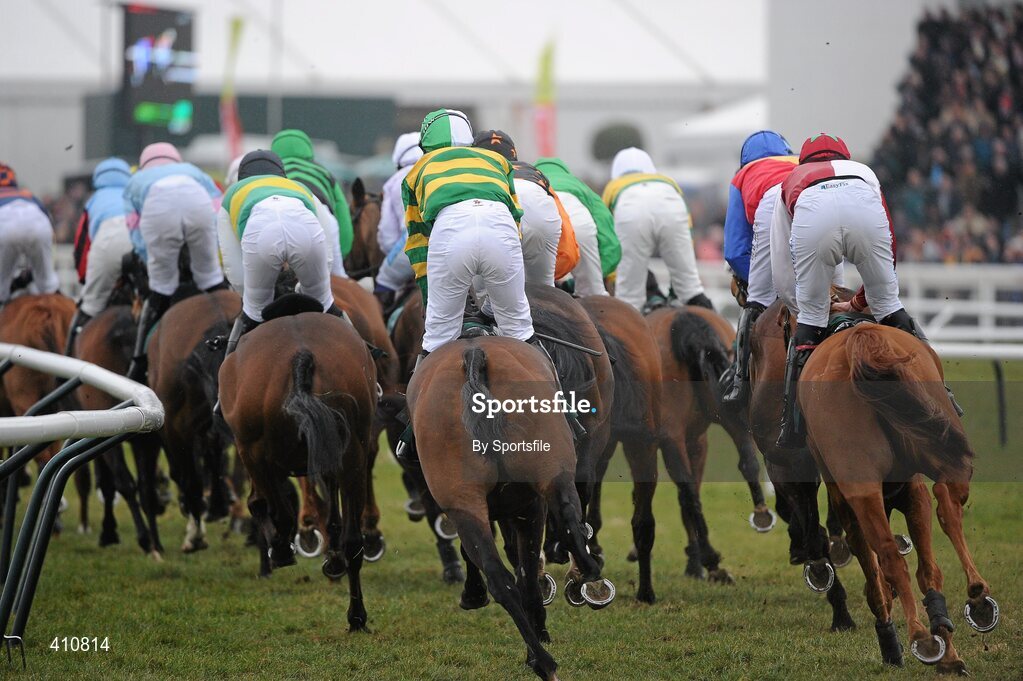 18 March 2010; A general view of the runners and riders during the Fulke Walwyn Kim Muir Challenge Cup Handicap Chase. Cheltenham Racing Festival - Thursday. Prestbury Park, Cheltenham, Gloucestershire, England. Photo by Sportsfile