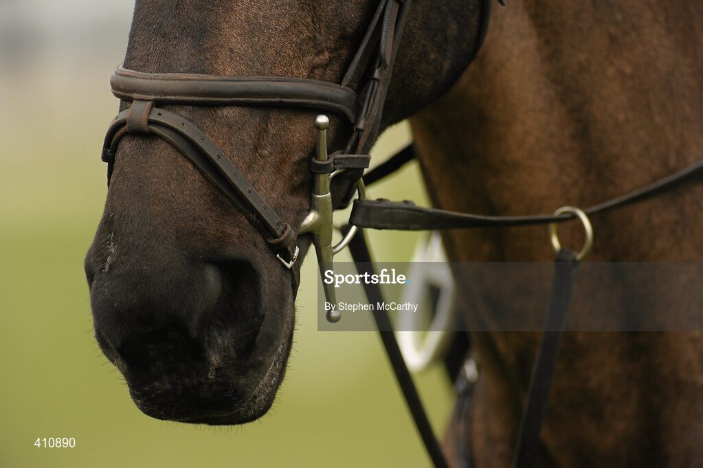18 March 2010; A general view of horses. Cheltenham Racing Festival - Thursday. Prestbury Park, Cheltenham, Gloucestershire, England. Picture credit: Stephen McCarthy / SPORTSFILE