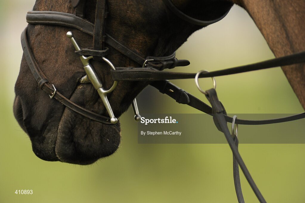 18 March 2010; A general view of horses. Cheltenham Racing Festival - Thursday. Prestbury Park, Cheltenham, Gloucestershire, England. Picture credit: Stephen McCarthy / SPORTSFILE