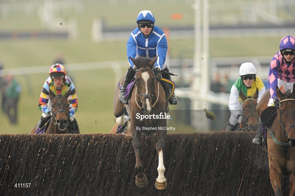 17 March 2010; Little Josh, with Paddy Brennan up, during the RSA Chase. Cheltenham Racing Festival - Wednesday. Prestbury Park, Cheltenham, Gloucestershire, England. Picture credit: Stephen McCarthy / SPORTSFILE