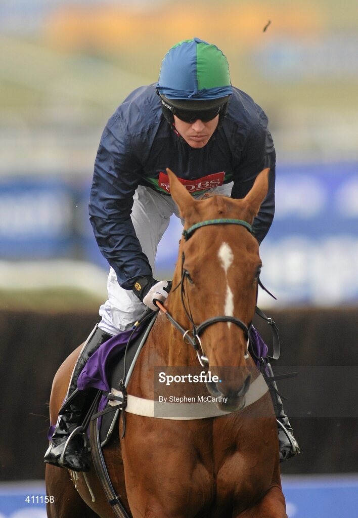 17 March 2010; Punchestowns, with Barry Geraghty up, during the RSA Chase. Cheltenham Racing Festival - Wednesday. Prestbury Park, Cheltenham, Gloucestershire, England. Picture credit: Stephen McCarthy / SPORTSFILE