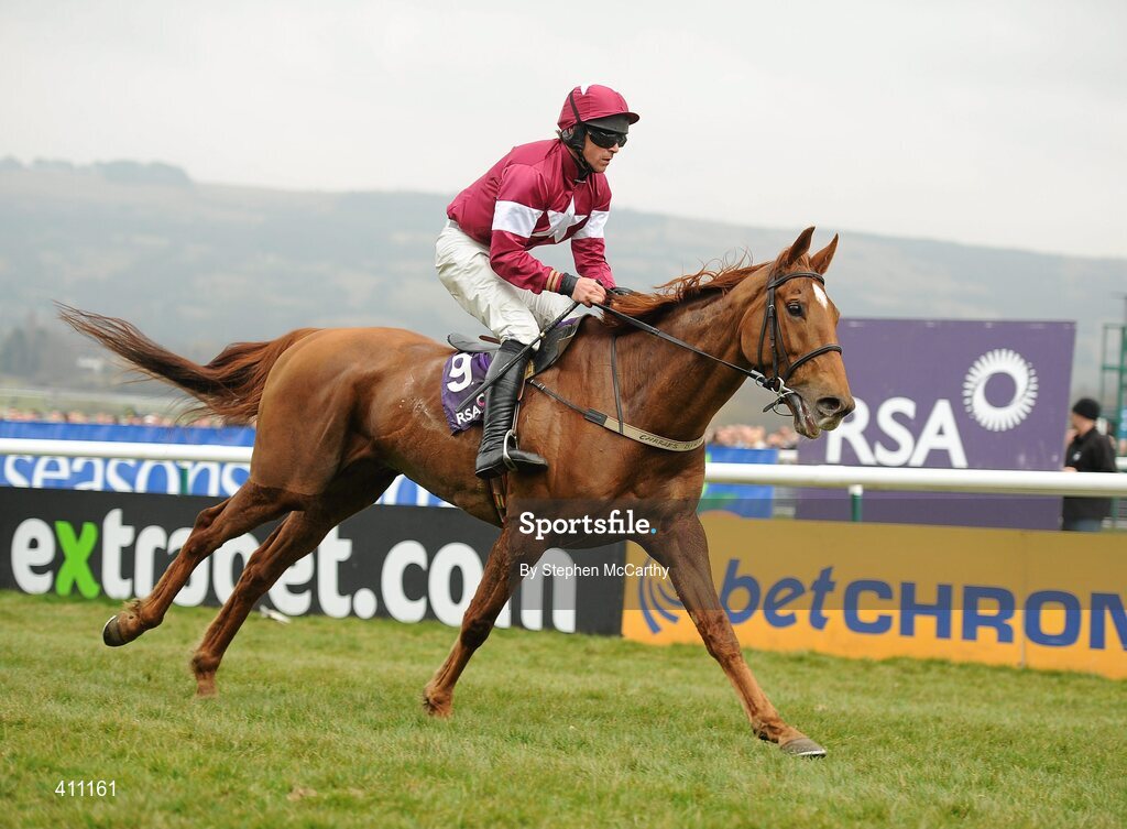 17 March 2010; Weapon's Amnesty, with Davy Russell up, on their way to winning the RSA Chase. Cheltenham Racing Festival - Wednesday. Prestbury Park, Cheltenham, Gloucestershire, England. Picture credit: Stephen McCarthy / SPORTSFILE