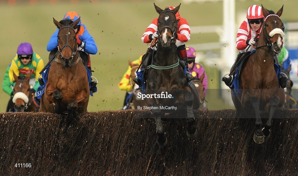 17 March 2010; Forpadydeplasterer, with Tony McCoy up, right, clear a fence during the Seasons Holidays Queen Mother Champion Chase. Cheltenham Racing Festival - Wednesday. Prestbury Park, Cheltenham, Gloucestershire, England. Picture credit: Stephen McCarthy / SPORTSFILE