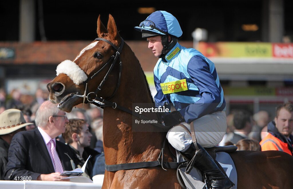 16 March 2010; Paul Moloney aboard Fiulin. Spinal Research Supreme Novices' Hurdle. Cheltenham Racing Festival - Tuesday. Prestbury Park, Cheltenham, Gloucestershire, England. Photo by Sportsfile