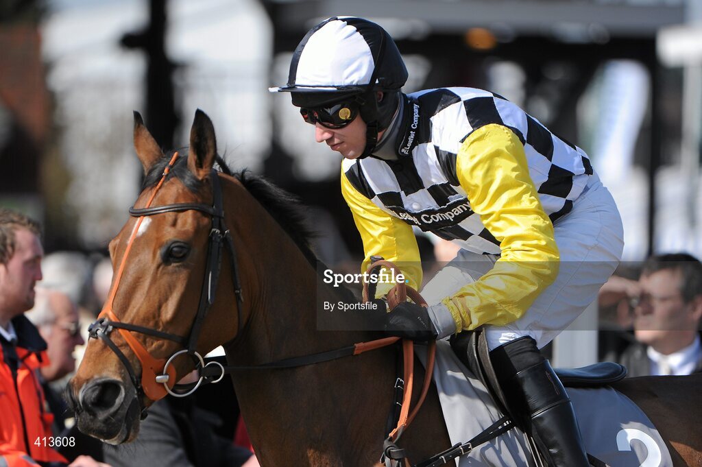 16 March 2010; Wayne Hutchinson aboard Chain of Command. Spinal Research Supreme Novices' Hurdle. Cheltenham Racing Festival - Tuesday. Prestbury Park, Cheltenham, Gloucestershire, England. Photo by Sportsfile