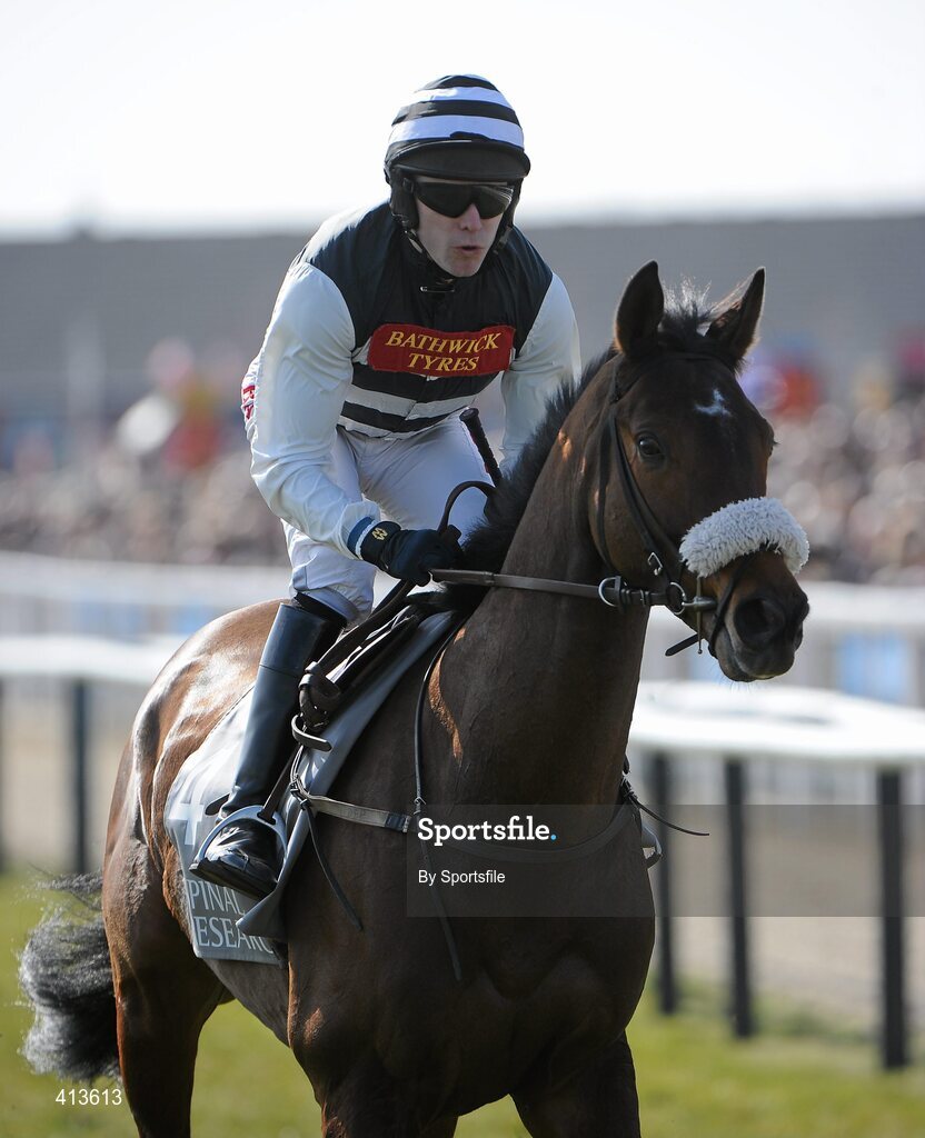 16 March 2010; Tom Scudamore aboard Dan Breen. Spinal Research Supreme Novices' Hurdle. Cheltenham Racing Festival - Tuesday. Prestbury Park, Cheltenham, Gloucestershire, England. Photo by Sportsfile