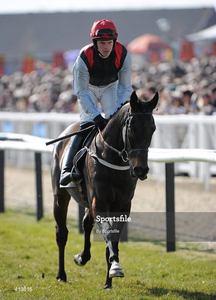16 March 2010; Jason Maguire aboard Hollins. Spinal Research Supreme Novices' Hurdle. Cheltenham Racing Festival - Tuesday. Prestbury Park, Cheltenham, Gloucestershire, England. Photo by Sportsfile
