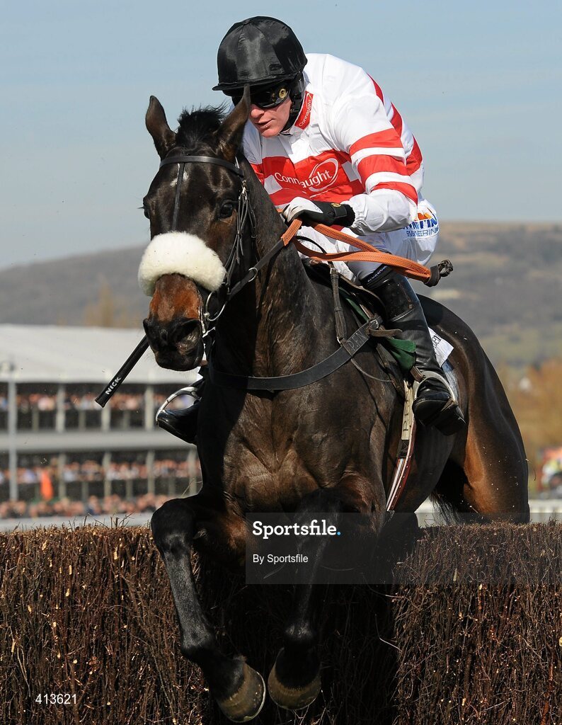 16 March 2010; Woolcombe Folly, with Nick Scholfield up, during the Irish Independent Arkle Challenge Trophy Chase. Cheltenham Racing Festival - Tuesday. Prestbury Park, Cheltenham, Gloucestershire, England. Photo by Sportsfile