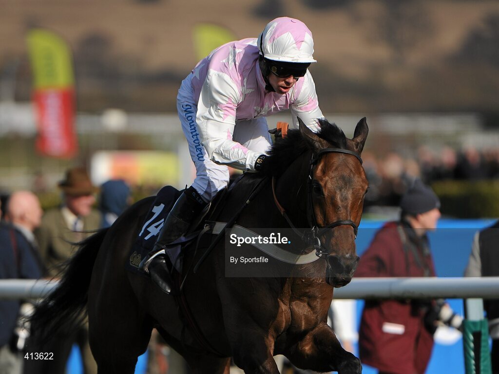 16 March 2010; New Alco, with Graham Lee up, during the William Hill Trophy Handicap Chase. Cheltenham Racing Festival - Tuesday. Prestbury Park, Cheltenham, Gloucestershire, England. Photo by Sportsfile